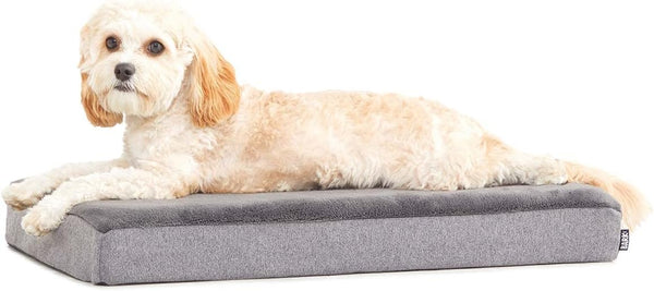 Barkbox Orthopedic Dog Bed, Comfortable Memory Foam Mattress for Joint Relief, Small, Grey, Waterproof with Non Skid