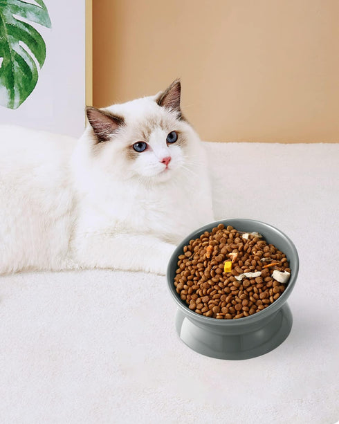 Elevated Cat Food Bowl, 5 Oz Ceramic Raised and Tilted Water Bowl, Anti-Vomiting Dishes for Small Dogs, Kittens