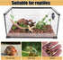 DONGKER Hermit Crab Climbing Rope,Sisal Rope Lizards Climbing Ladder Toy with Hook & Suction Cups for Reptile Geckos