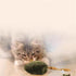 CCwoha Interactive Mouse Cats Toy,Plush Squeaky Plush Cats Toy Automatic Electronic Moving Mouse Kitten Toy for Indoor