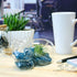 5.75" Glass Puppy Dog Terrarium Kit with Air Plant - Blue