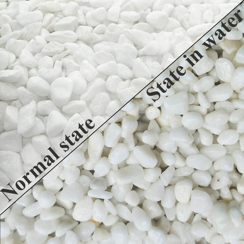 Aquarium Decorative Sands - White Gravel Pebbles for Aquariums & Terrarium Landscape, 2 Pounds