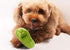 Sunglow Dog Toy Interactive Chewing Rope Ball - Natural Cotton Tug of War for Small Medium Dogs & Puppies