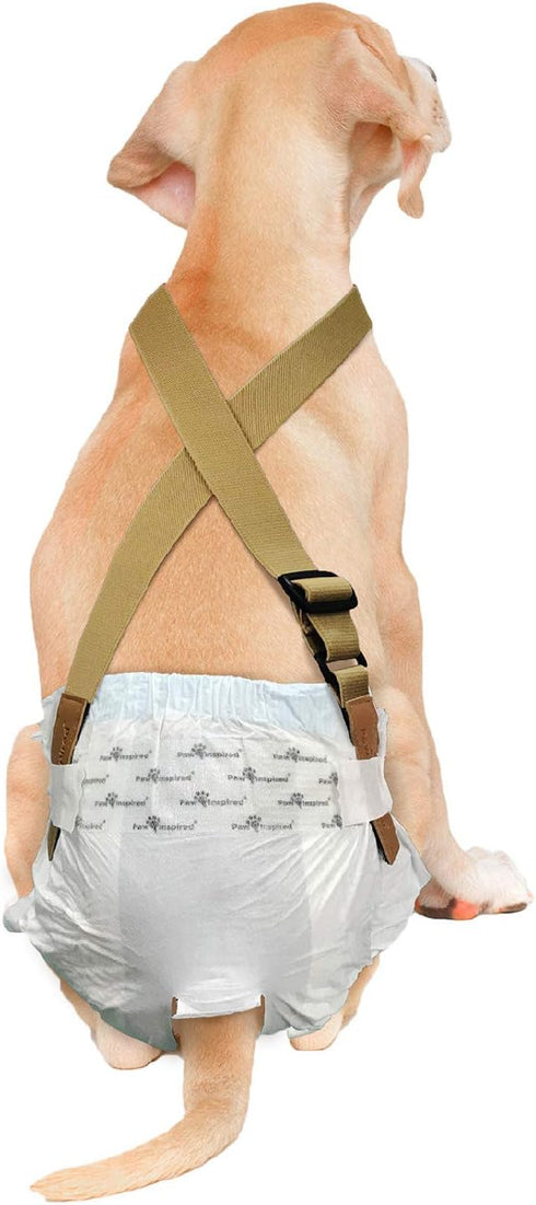 Paw Inspired Dog Diaper Suspenders | Adjustable Stretchy Suspenders for Disposable & Washable Diapers, Fits Small to