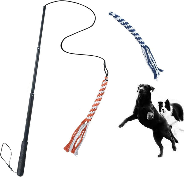 ASOCEA Dog Extendable Teaser Wand, Pet Flirt Stick Pole for Small Medium Large Dogs, Interactive Training Toy
