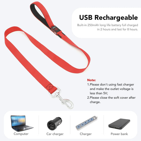 LED Dog Leash - 4 Feet Red Light Up Nylon Webbing, Micro USB Rechargeable Safety Standard Leash for Dogs