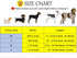 Elegant little tail Dog Collar and Leash, Durable Adjustable Pet Collar for Small Dogs