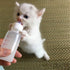 DoubleWood Pet Nursing Bottle Kits with Replacement Nipple for Newborn Kittens, Puppies, Rabbits