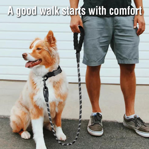 COOYOO Dog Leash 5/6 FT, Comfortable Padded Handle with Highly Reflective Threads for Small Medium Large Dogs