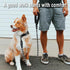 COOYOO Dog Leash 5/6 FT, Comfortable Padded Handle with Highly Reflective Threads for Small Medium Large Dogs