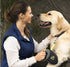 Flexi Bogdahn International Giant Neon Tape Dog Lead (8M) for Large Dogs (50kg)
