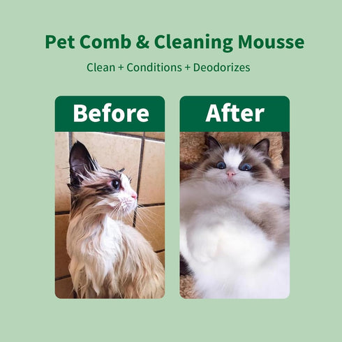 Fabullciso 2-in-1 Pet Grooming Kit, Gentle Comb and Waterless Cleaning Mousse for Dogs and Cats, No-Rinse Foam