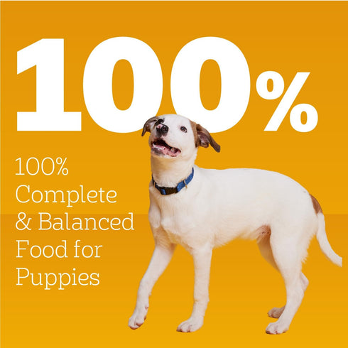 13.2 oz. 12 Count Pedigree Puppy Chopped Ground Dinner Wet Puppy Food with Chicken & Beef, Canned Dog Food, Cans