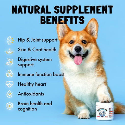Dog Vitamins - 30 Multivitamin Chews with Glucosamine, Chondroitin, Probiotics, and Omegas for Overall Health Support