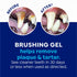 Naturel Promise Fresh Dental Toothbrush and Toothpaste Kit for Dogs - Teeth Cleaning Kit for Plaque & Tartar Removal