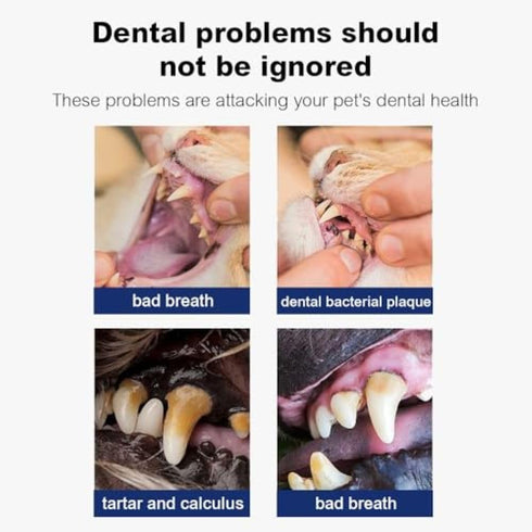 Seven777 Pet Dental Powder,Teeth Cleaning Powder for Dogs and Cats, Plaque & Bad Breath Off,Dental Care Supplies