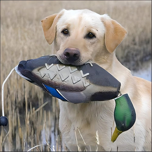 2 Dummy fingig Pcs Duck Bumper Toys for Hunting Retriever Dog Training, Dog Retriever Outdoor Training Toy Hunting Duck