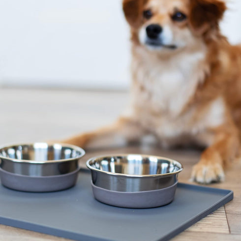 Messy Mutts Stainless Steel Heavy Gauge Bowl, Non-Slip Removable Silicone Base, Medium, 2.5 Cups, Warm Grey