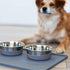 Messy Mutts Stainless Steel Heavy Gauge Bowl, Non-Slip Removable Silicone Base, Medium, 2.5 Cups, Warm Grey
