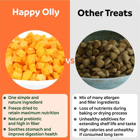 Pumpkin Treats for Dogs - Freeze Dried Pure Pumpkin, 2oz, Natural Single Ingredient for Digestion
