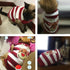 Dog Sweater Christmas Knitwear for Pets, Warm Winter Clothes