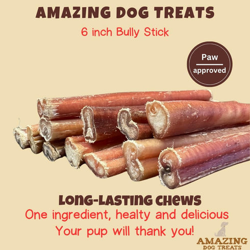 Amazing Dog Treats - 6 Inch Bully Sticks Medium Size (20 Pcs/Pack) - Long Lasting Chews for Small to Medium Dogs
