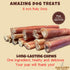 Amazing Dog Treats - 6 Inch Bully Sticks Medium Size (20 Pcs/Pack) - Long Lasting Chews for Small to Medium Dogs