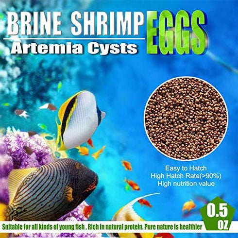 90% (0.5 OZ) Brine Shrimp Eggs for Aquatic Foods Baby & Fry Foods The Popular Hatch GSL Brine Shrimp Eggs