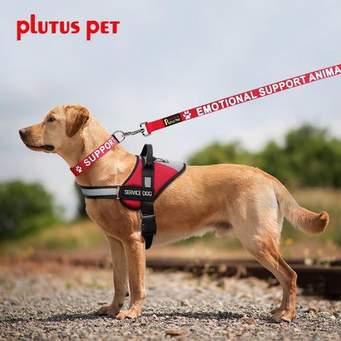 Plutus Pet Emotional Support Animal Leash, 4ft Long, Red, Soft Neoprene Padded Handle, Printed in Large Letters for