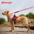 Plutus Pet Support Animal Collar, Printed Warning on Nylon Webbing, Two Colors, Four Sizes, Neck 8-12 inch, Red