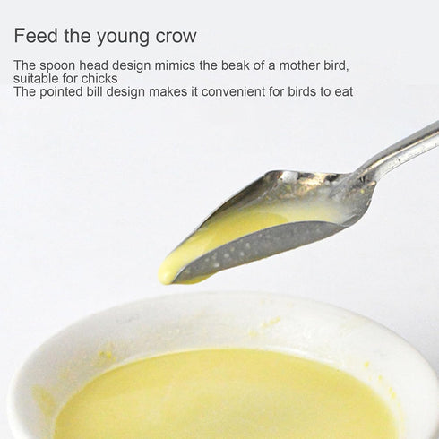 Youngy 8Pcs Bird Parrot Feeder Spoon Stainless Steel Milk Medicine Avoid Asphyxia for All Baby Bird Feeding Spoon
