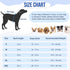 SlowTon Dog Recovery Suit, Surgery Recovery Onesie for Female Male Dogs, E-Collar Alternative for Spay Abdominal Wounds