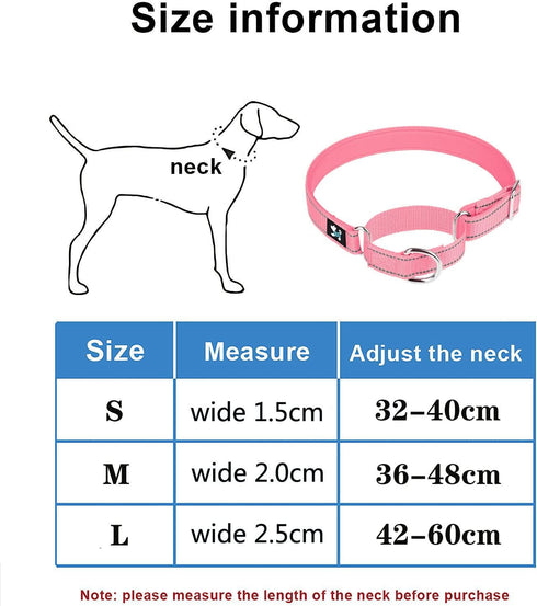 Martingale Heavy Duty Nylon Dog Collar, Soft Neoprene Padded Breathable Nylon Pet Collar for Small Medium Large Dogs (S, Blue)
