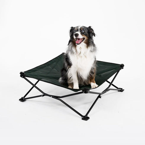 Coolaroo On The Go Cooling Elevated Dog Bed, Portable for Travel & Camping, Collapsible Medium, Brunswick Green