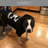 EXPAWLORER Bad to The Bone Dog Hoodie Sweater - Warm Fleece Lined Pet Clothes for Large Dogs, 2XL