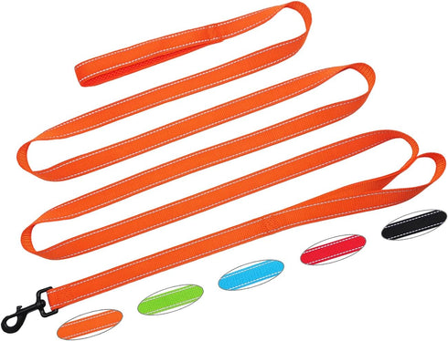 10FT Traffic Leash with 2 Handles, Reflective Dog Leash for Large Medium Dogs and Pullers