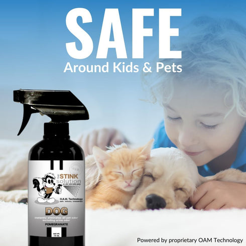 Dog Odor Eliminator for Home, Furniture, Carpet & More, 2 Bottles 16 oz (Pomegranate) for Feces, Vomit, Must & Urine