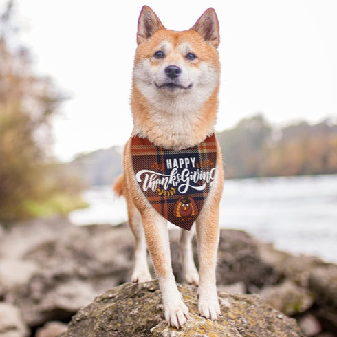 Yilad Thanksgiving Cute Turkey Dog Bandana Scarf Triangle Bibs Pet Accessories Cat Kerchief