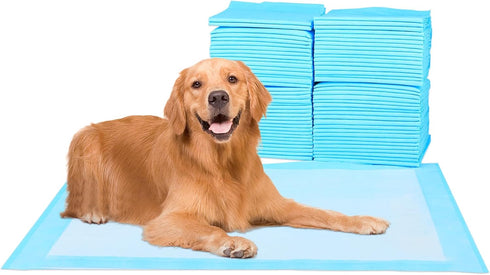 FluffyDream Waterproof Dog Training Pad, Super Absorbent Housebreaking Pet Pad, Blue (30"X30", 100PCS)