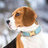 PET ARTIST Soft Leather Dog Collar, Heavy Duty Adjustable Nylon Collar with Quick Release Buckle, Blue, Neck Fit 9-14"