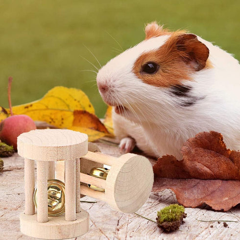 5 Pcs Hamster Chew Toys, Vankcp Natural Wooden Molar Ball for Small Animals, Cat, Rabbits, Guinea Pig