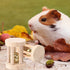 5 Pcs Hamster Chew Toys, Vankcp Natural Wooden Molar Ball for Small Animals, Cat, Rabbits, Guinea Pig