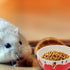 Dish Water Small Glider Sugar Gerbil Rat Pattern Pet Hamster Feeding and Strawberry Ceramic Animal Squirrel Bowls for Animals Cute Container Dishes Rabbit Bunny Hedgehog Bowl Food