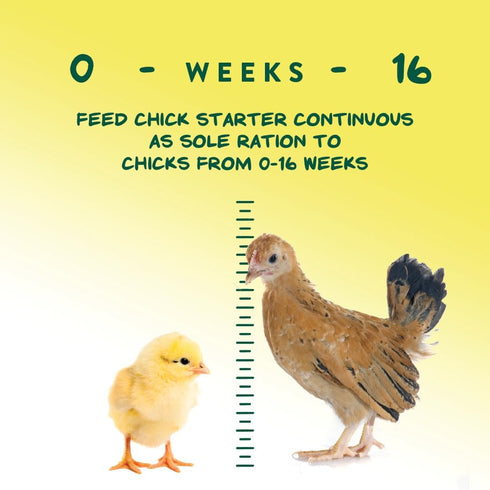 5 lb Manna Pro Medicated Chick Starter Grower Feed, Dried High Protein Chicken Food Crumbles with Amprolium