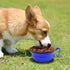 Collapsible Dog Bowl 2 Pack - Portable Silicone Pet Bowl with Carabiner for Small and Medium Dogs
