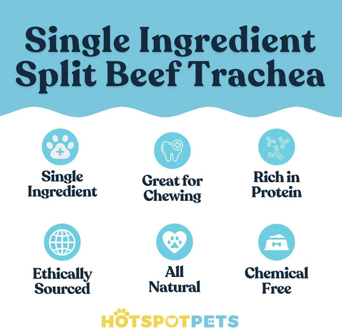 6" -(20 Pack) hotspot pets Premium Beef Trachea for Dogs Strips Split All Natural Grass-Fed Beef Dog Chews, Rich