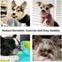 Dog Squeaky Toy, Latex Bouncy Egg Balls with Squeaker for Puppy Small Pet Dogs, Soft Rubber Sound Toys