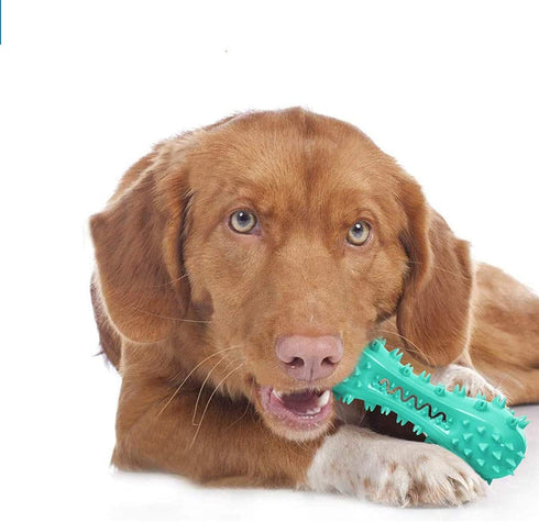 Toothbrush Dog Chew Toy, Stick Bone for Dog Teeth Cleaning, Dental Oral Care for Small, Medium, Large Dogs (Blue)