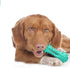Toothbrush Dog Chew Toy, Stick Bone for Dog Teeth Cleaning, Dental Oral Care for Small, Medium, Large Dogs (Blue)