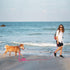10ft Pink Long Leash | Waterproof Training Dog Leash for Recall, Swimming, Camping, Beach, Hunting, Walking